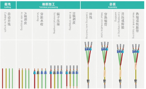 资源 3xxxhdpi(1).png